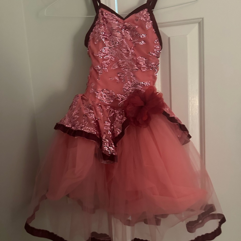 Beautiful Ballet Costume worn once. Smoke free home. - Picture 2 of 2